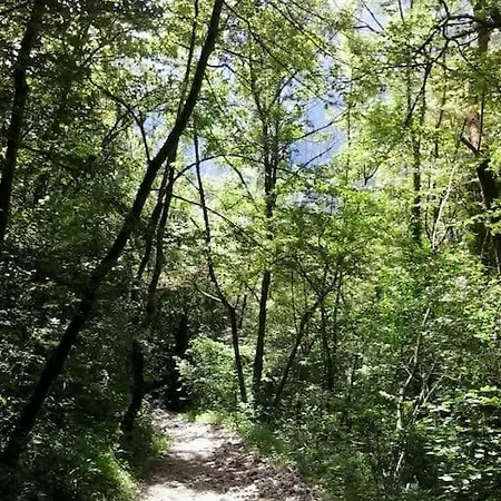 Avec Jardin Prive A 100mt Du