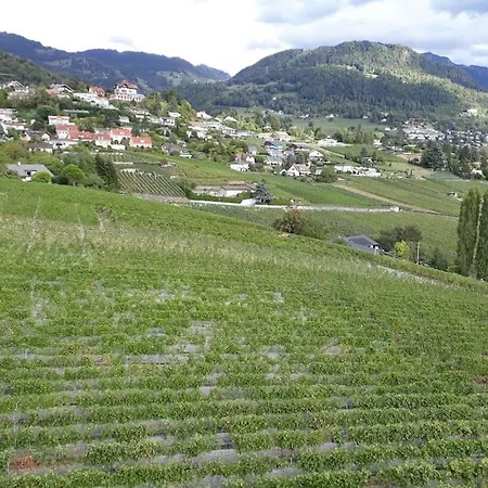 Avec Jardin Prive A 100mt Du Daire