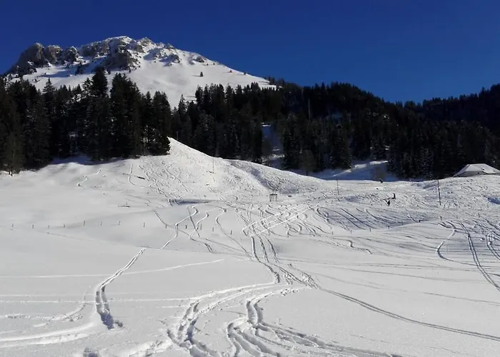 Avec Jardin Prive A 100mt Du Apartament *