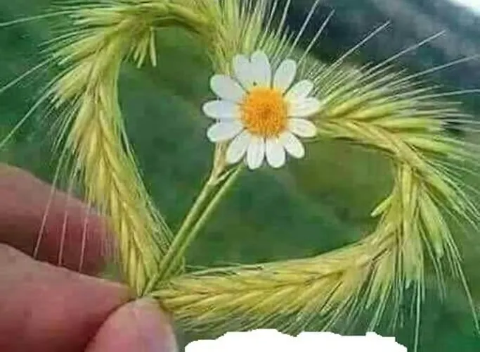 Avec Jardin Prive A 100mt Du Apartment