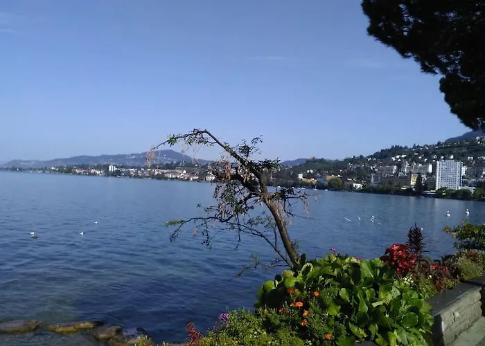 Avec Jardin Prive A 100mt Du * Montreux