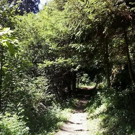 Apartman Avec Jardin Prive A 100mt Du