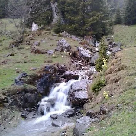 아파트 Avec Jardin Prive A 100mt Du 몽트뢰