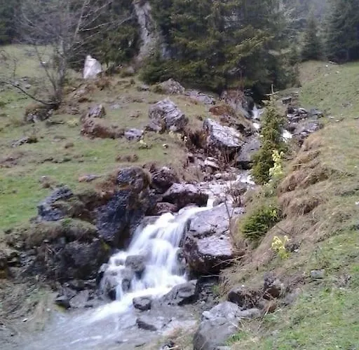 아파트 Avec Jardin Prive A 100mt Du 몽트뢰